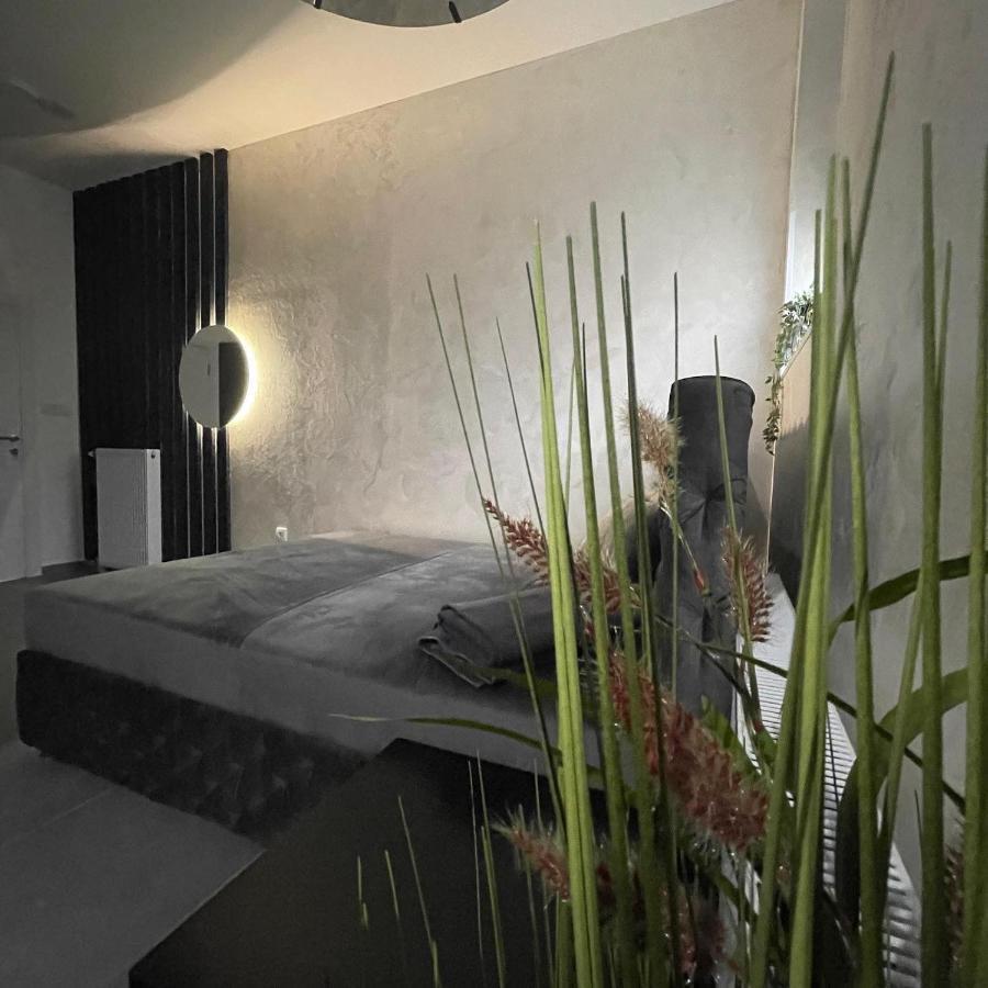 Tepic Garni Hotel Temerin エクステリア 写真