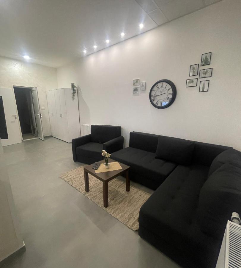 Tepic Garni Hotel Temerin エクステリア 写真